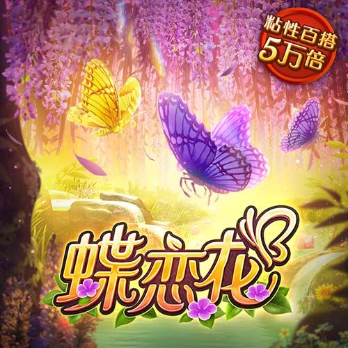 kokapp最新版
